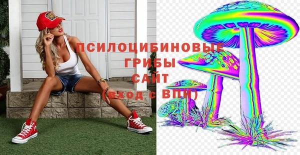 стафф Абинск
