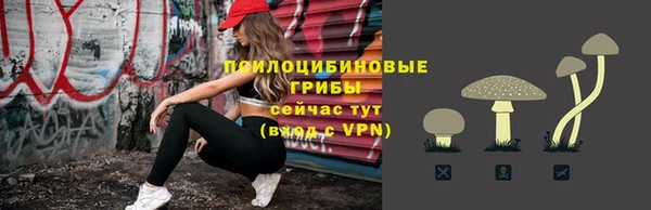стафф Абаза